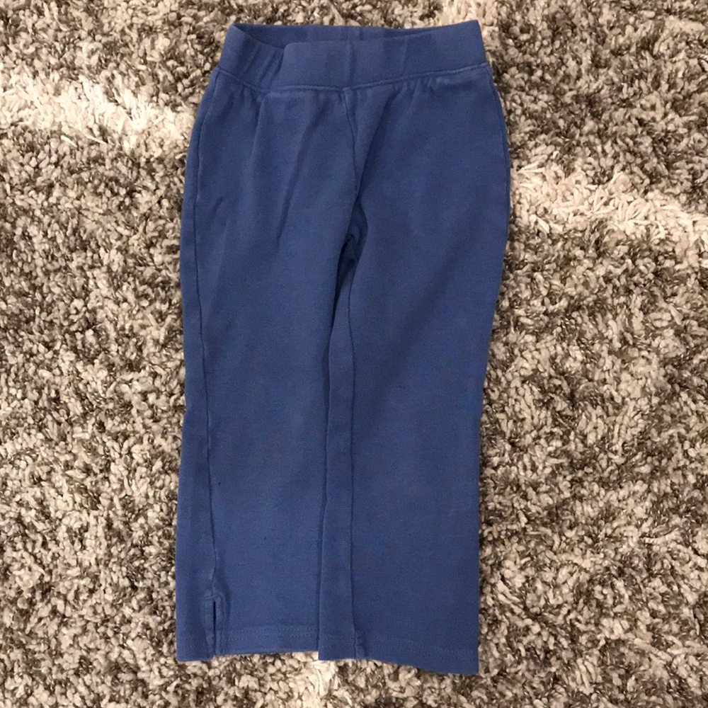 🔹5 for $25🔹Tea Collection Cobalt Knit Pant